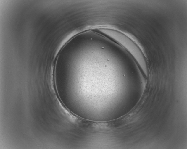 X0000078861006200611201308