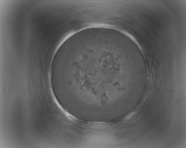 X0000078861007200611201308