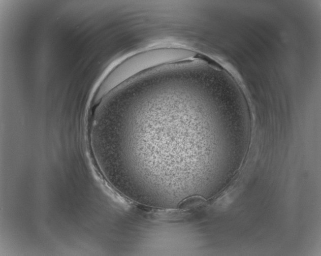 X0000078861008200611201308