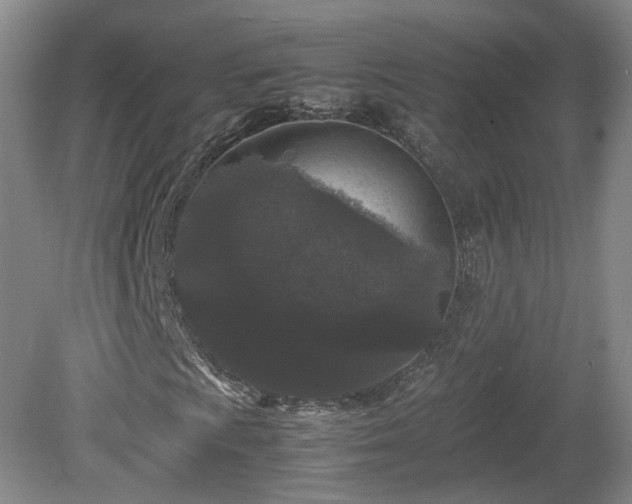 X0000078861009200611201307