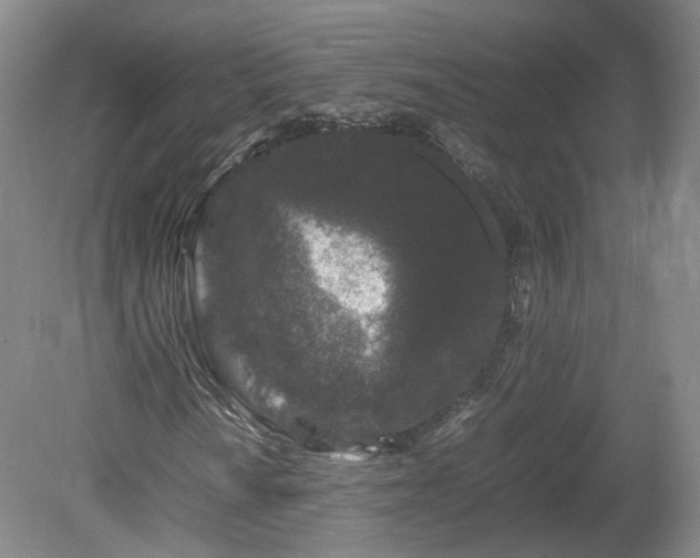 X0000078861010200611201308