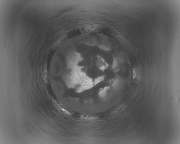 X0000078861011200611201308