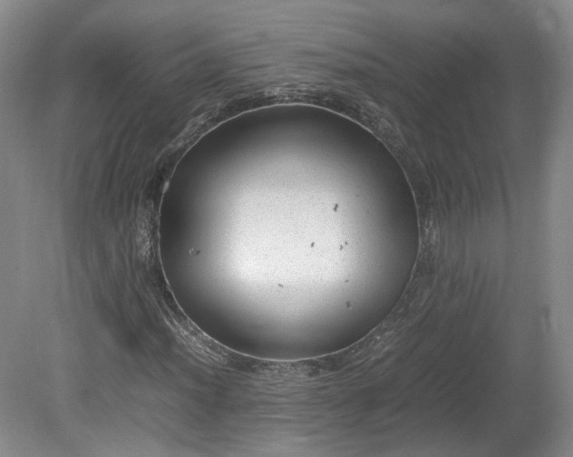 X0000078861012200611201308