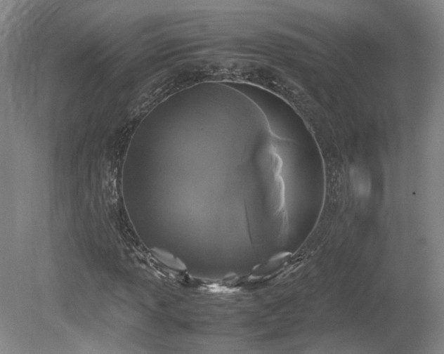 X0000078861013200611201308