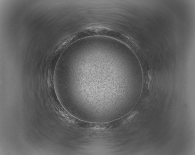 X0000078861014200611201308