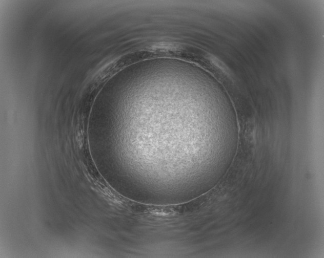 X0000078861015200611201308