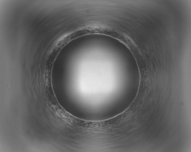 X0000078861016200611201308