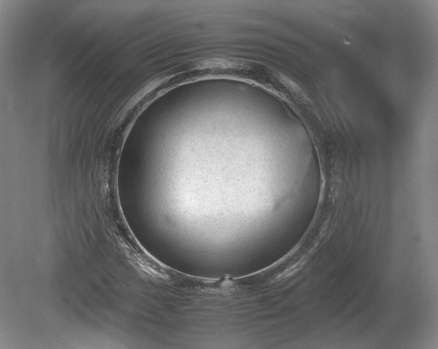 X0000078861017200611201308