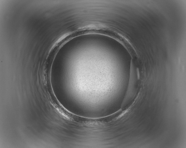 X0000078861018200611201308