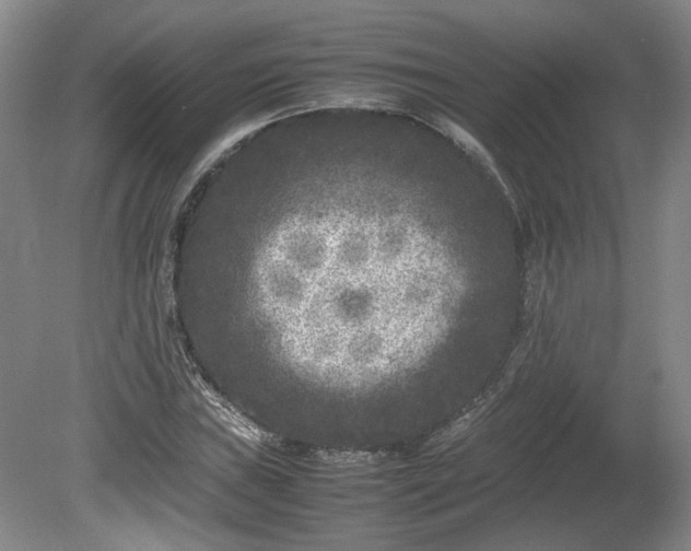 X0000078861019200611201308