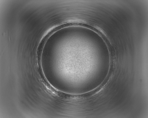 X0000078861022200611201308