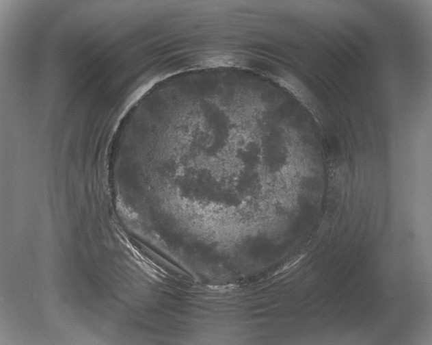 X0000078861023200611201308