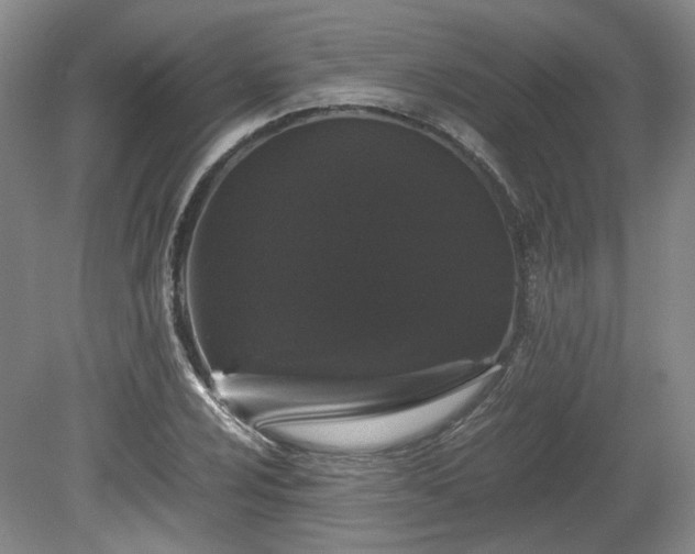 X0000078861024200611201308