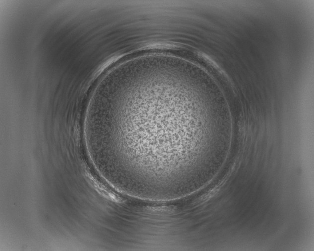 X0000078861025200611201308