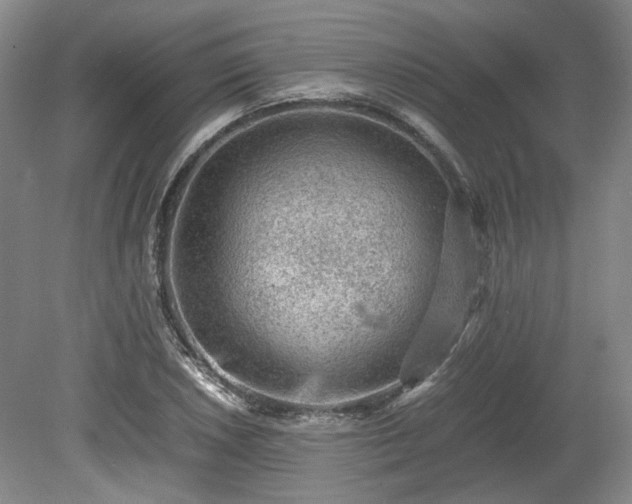 X0000078861026200611201308