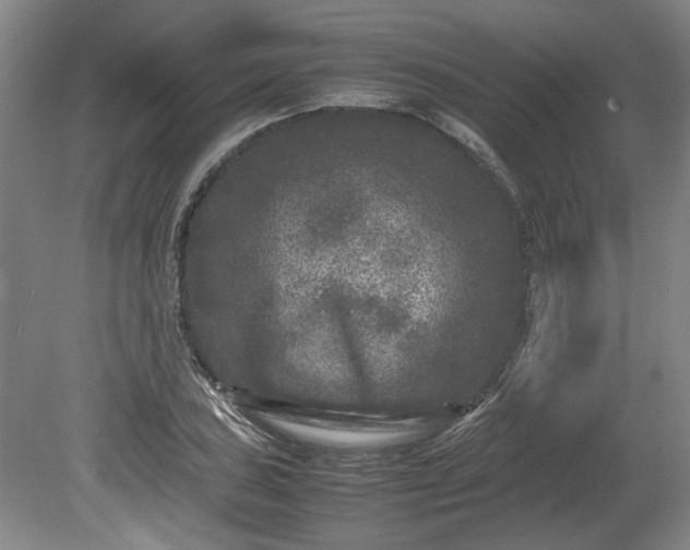 X0000078861027200611201308