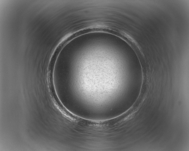 X0000078861029200611201308