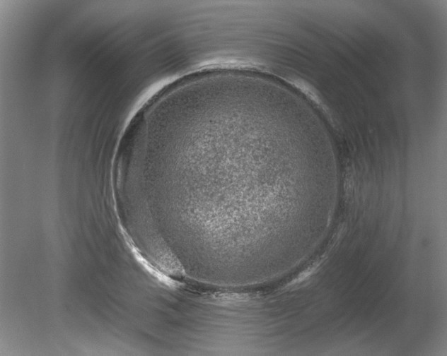 X0000078861030200611201308