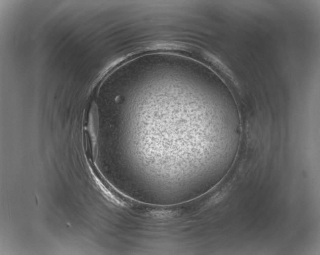 X0000078861033200611201308