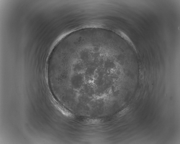 X0000078861035200611201308