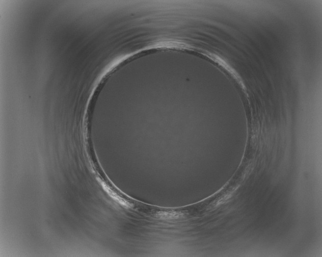 X0000078861037200611201308