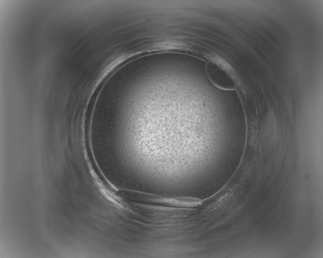 X0000078861039200611201308