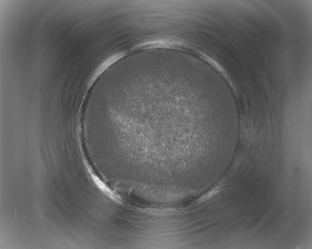 X0000078861042200611201308