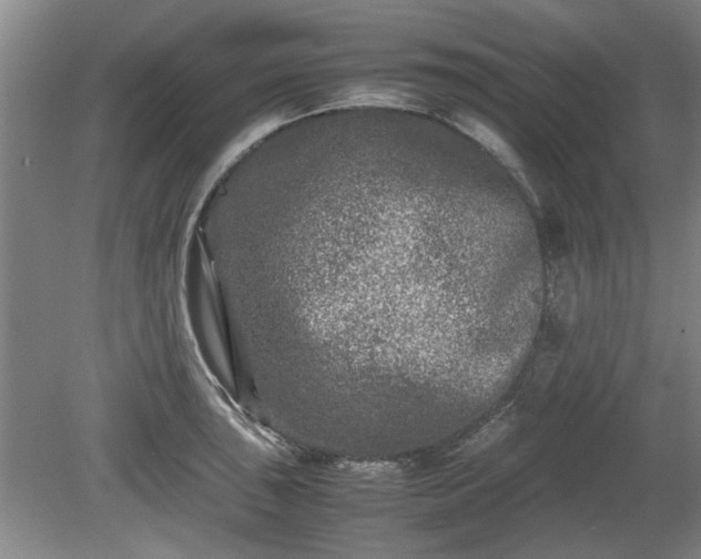 X0000078861043200611201308