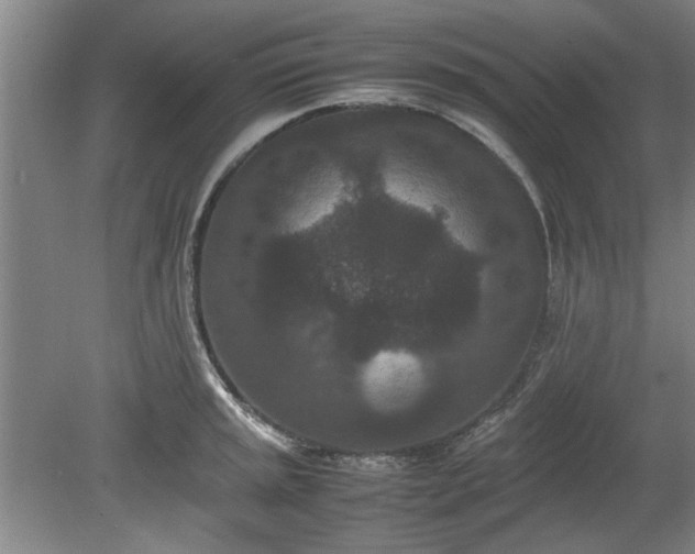 X0000078861045200611201308