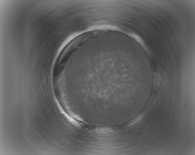 X0000078861046200611201308