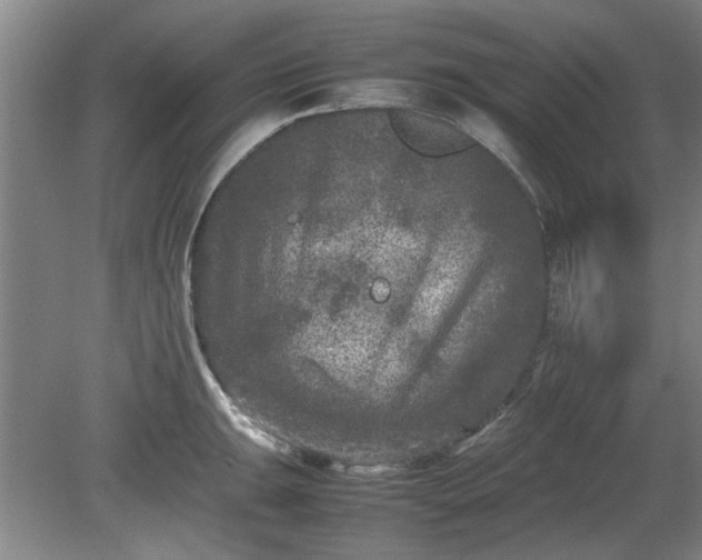 X0000078861047200611201308