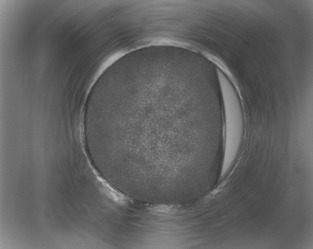 X0000078861048200611201308