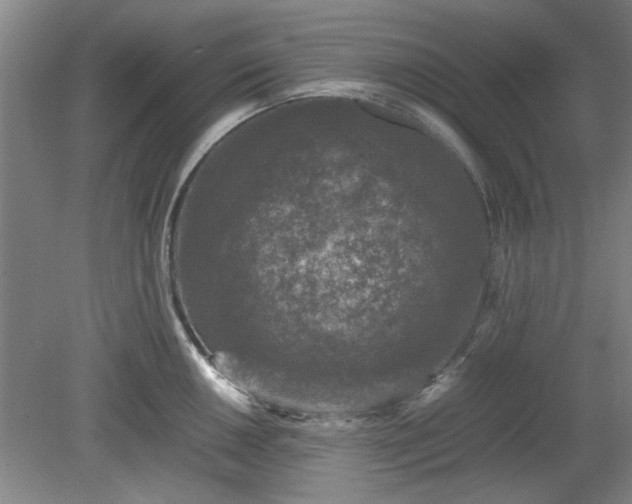 X0000078861050200611201308