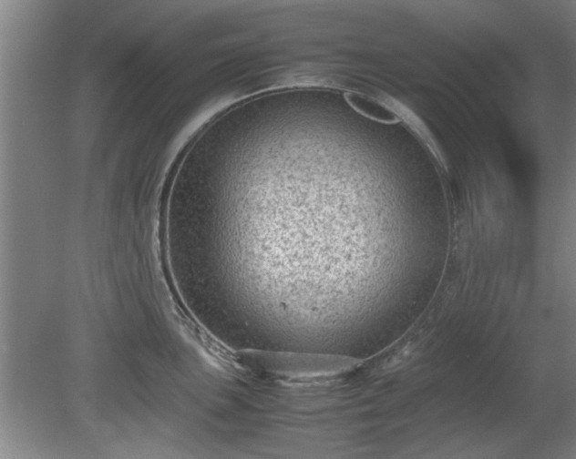 X0000078861051200611201308