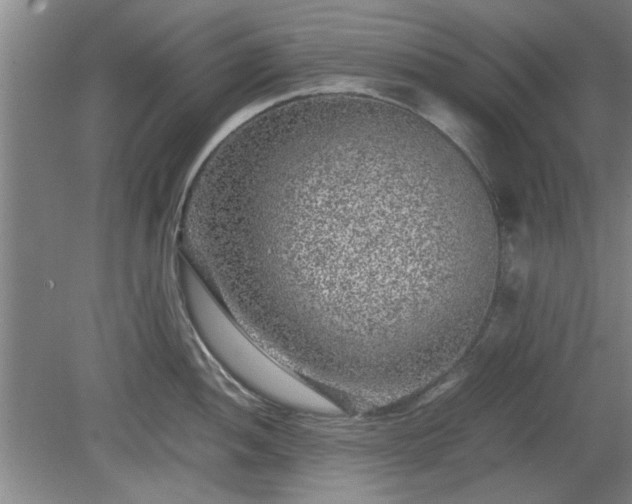 X0000078861052200611201308