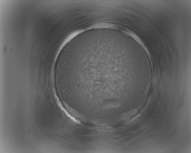 X0000078861053200611201308