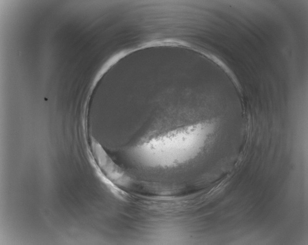 X0000078861054200611201308