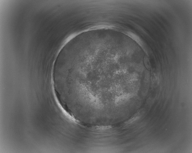 X0000078861055200611201308