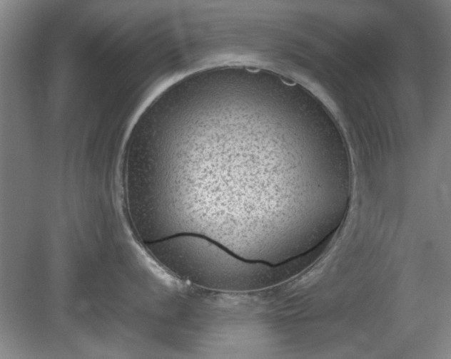 X0000078861056200611201308