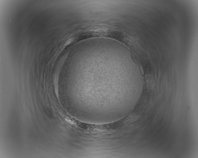 X0000078861057200611201307