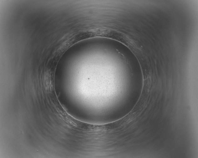 X0000078861058200611201307