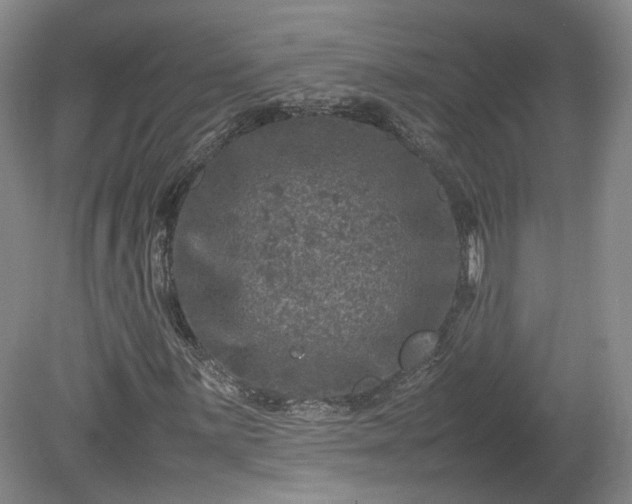 X0000078861059200611201307