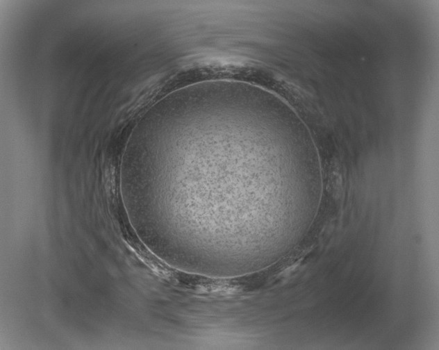 X0000078861061200611201307