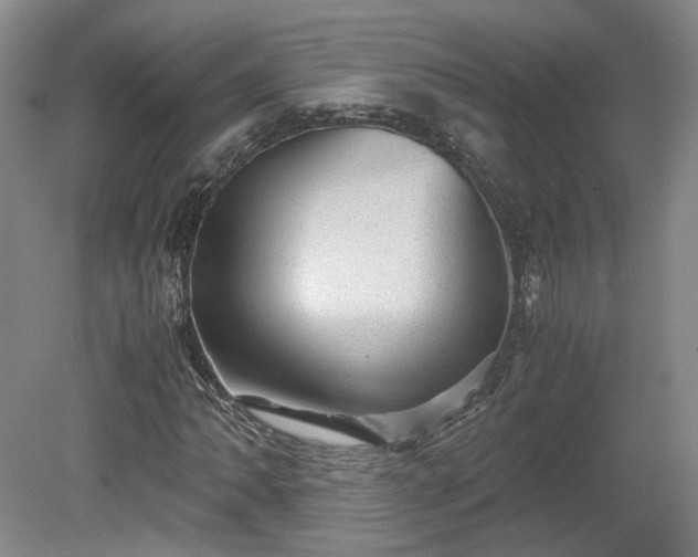 X0000078861062200611201307