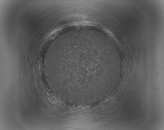 X0000078861063200611201307