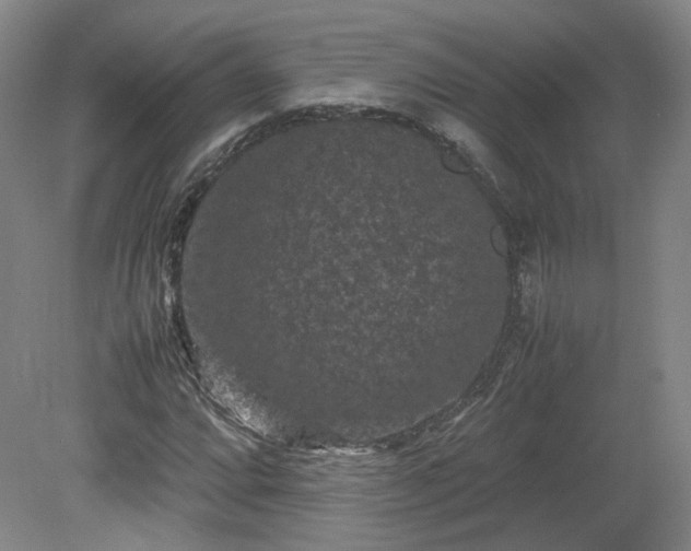 X0000078861064200611201307