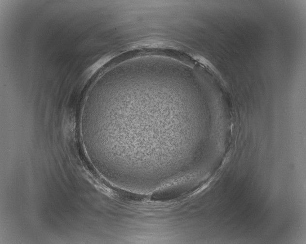 X0000078861065200611201307