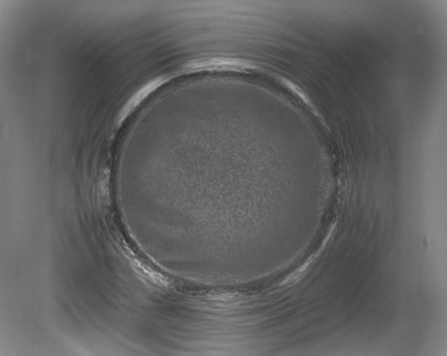 X0000078861066200611201307