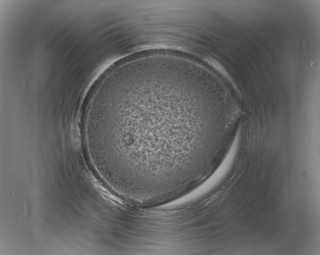 X0000078861068200611201307