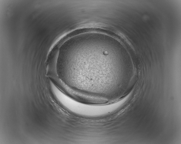 X0000078861069200611201307